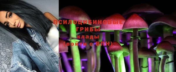 Альфа ПВП Верея