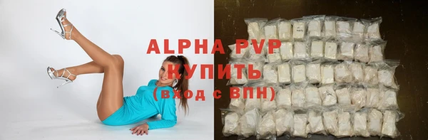 Альфа ПВП Верея