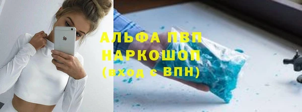 Альфа ПВП Верея
