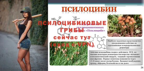 Альфа ПВП Верея