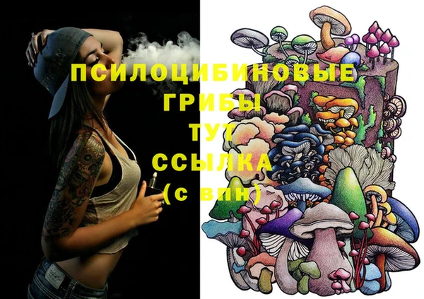 амф Бронницы